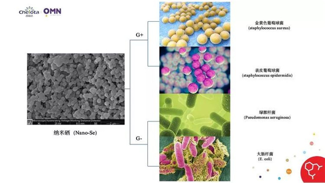 �������Ӽ�