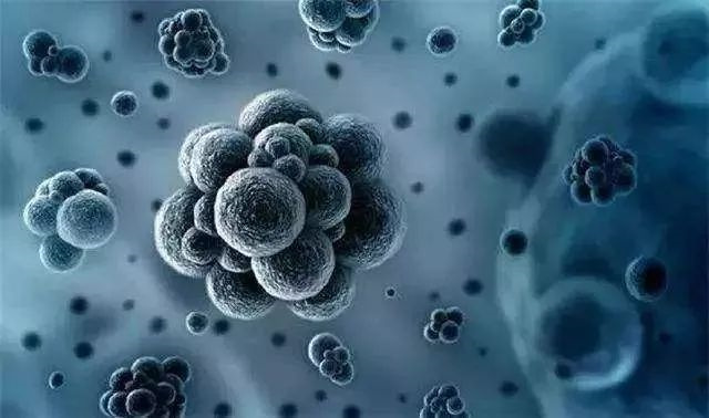 ���������������