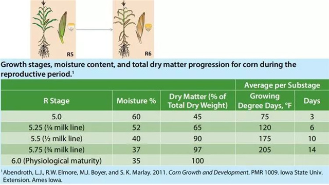 �������Ӽ�