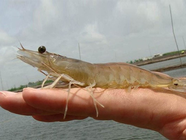 ��Ϻ��ˮ�ʵ�Ҫ��