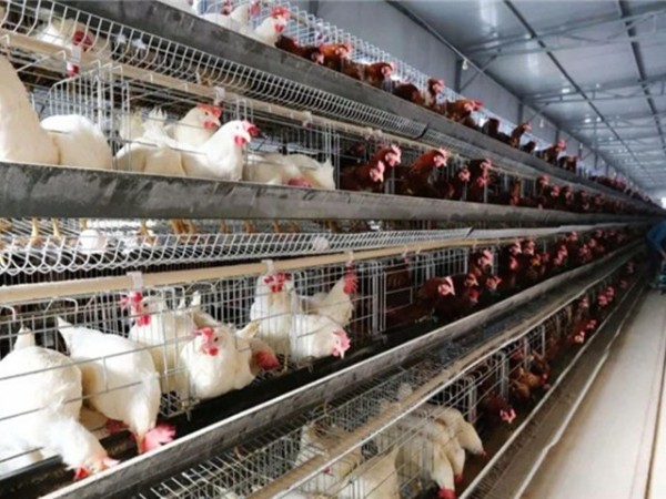 �����������½���ô����