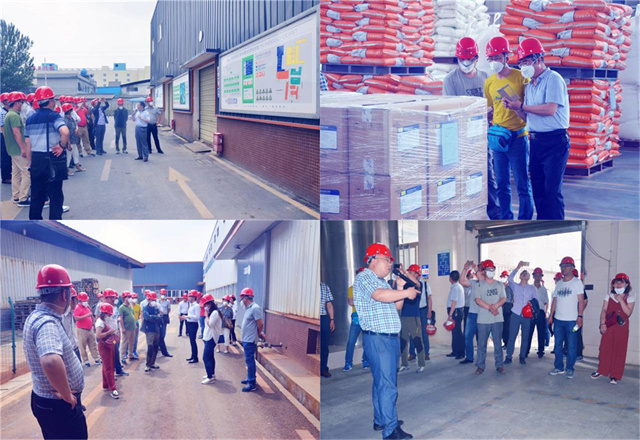 bbin��ӯ΢��Ԫ�ؼ�����Чɳ��