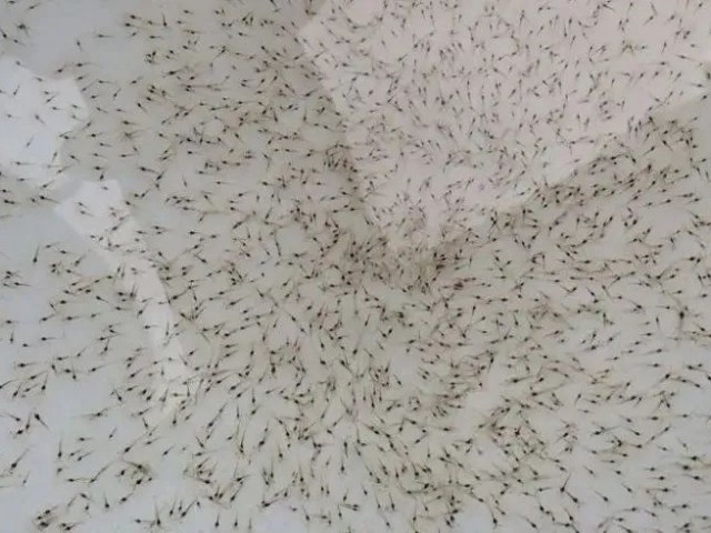 ��Ϻ����ǰ��׼������