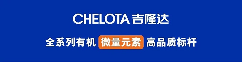 bbin��ӯ����