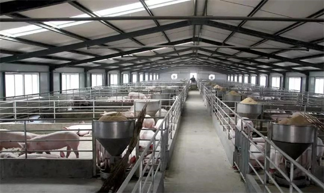 ������ֳ-������