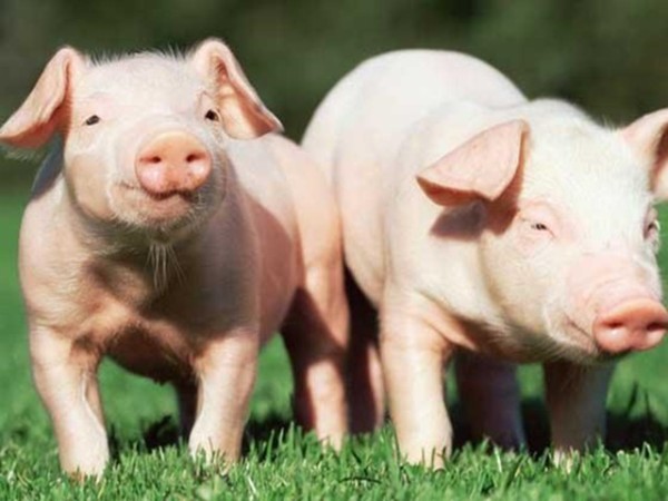 �ʰ���������������ʹ����ʲô�ô����б�Ҫȫ�����������������