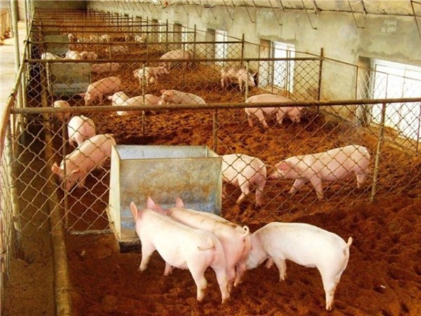 ����Ӧ�������ح�ڶ����� �Ż���������