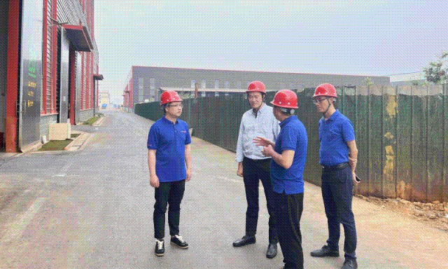 ����ҵ���������ι�bbin��ӯ