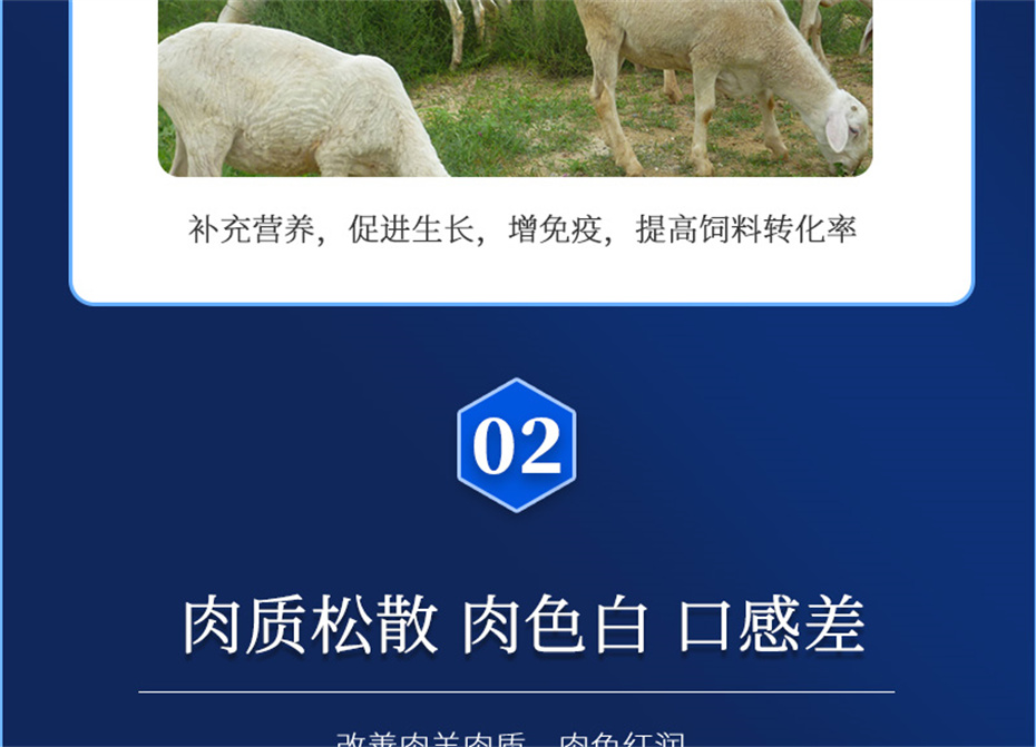 bbin��ӯ�������������Ӽ��������Ʒ����