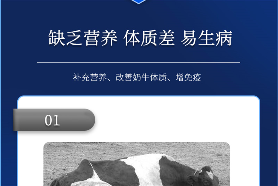 bbin��ӯ����ţ�������Ӽ���ţ����Ʒ����