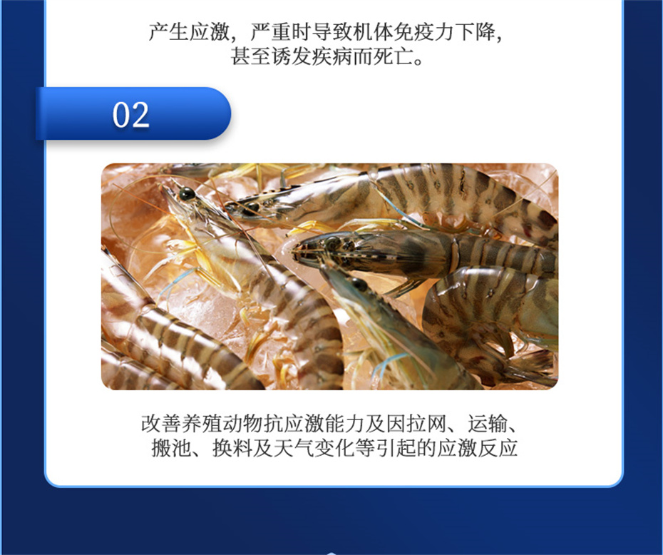 bbin��ӯ����ˮ���������Ӽ�����1�Ų�Ʒ����