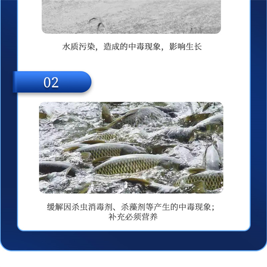 bbin��ӯ����ˮ���������Ӽ�����1�Ų�Ʒ����