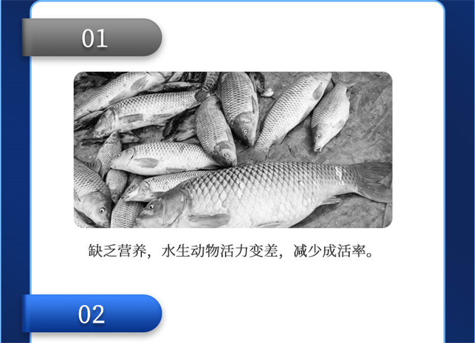 bbin��ӯ����ˮ���������Ӽ�ά��1�Ų�Ʒ����