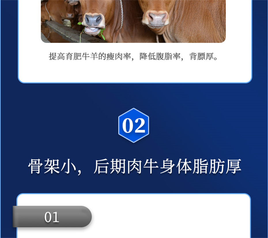 bbin��ӯ����ţ���������Ӽ�ţ��ȥ������Ʒ����