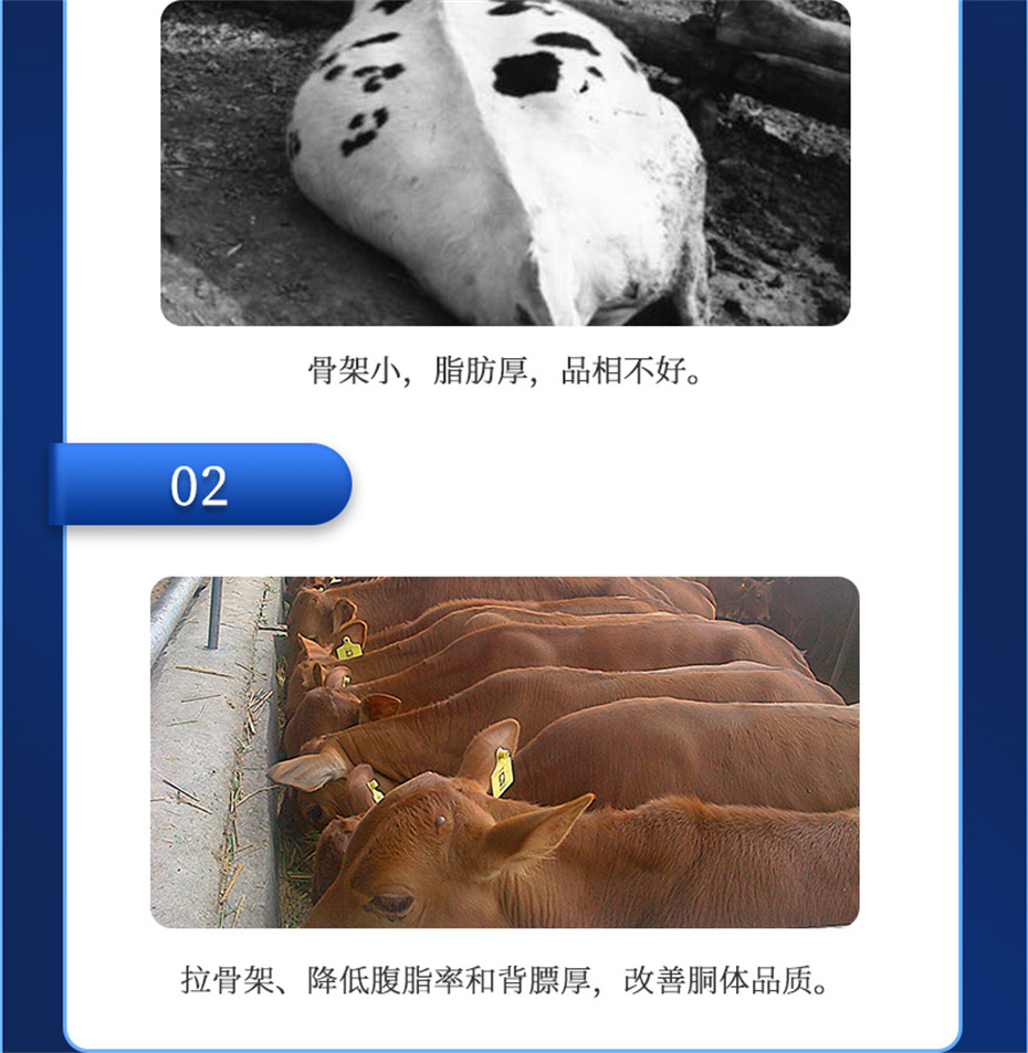 bbin��ӯ����ţ���������Ӽ�ţ��ȥ������Ʒ����