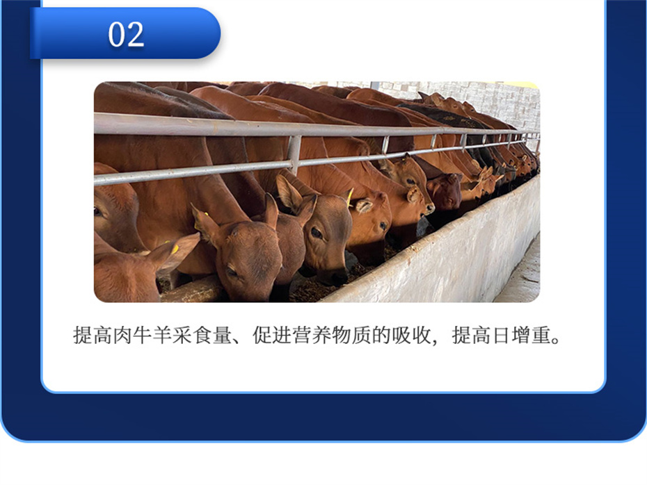 bbin��ӯ����ţ���������Ӽ�ţ��ȥ������Ʒ����