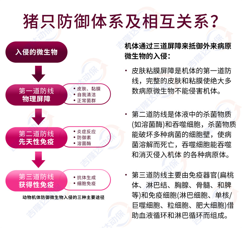 ��������ϵ���໥��ϵ