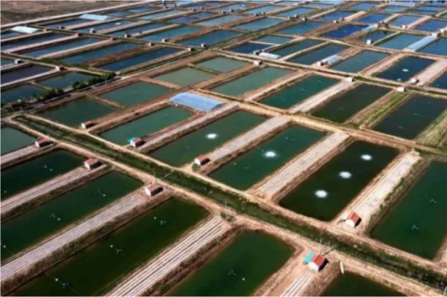 Ϻ��΢��Ԫ��ȱ����ԭ��