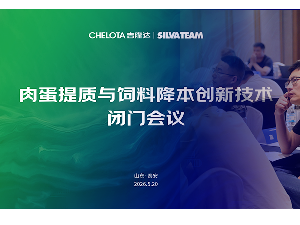 ������ | CHELOTAbbin��ӯ&�����ʩ�����⵰���������Ͻ������¼������Ż�Բ������