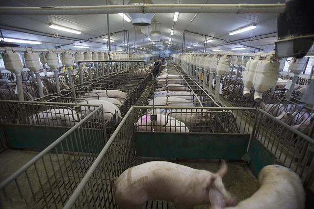 bbin��ӯ��������������