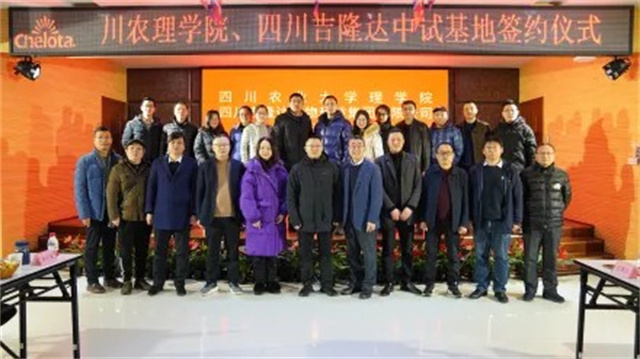 ���Ի���ǩԼ��ʽ