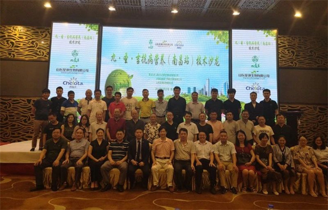 ����Ӫ������ɳ��