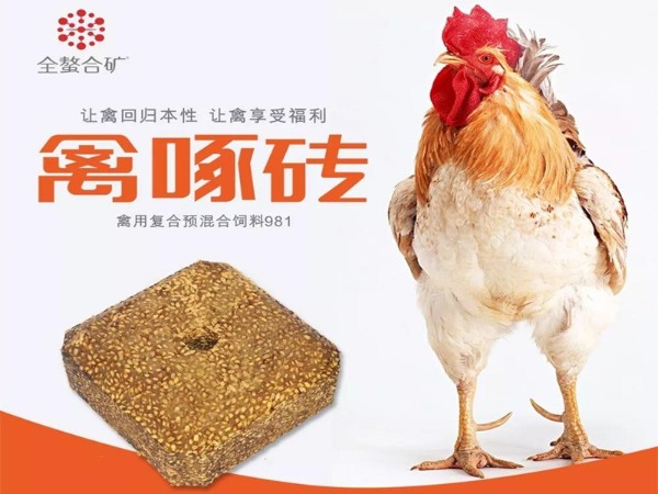 ����ש����������ܸı�ʲô��