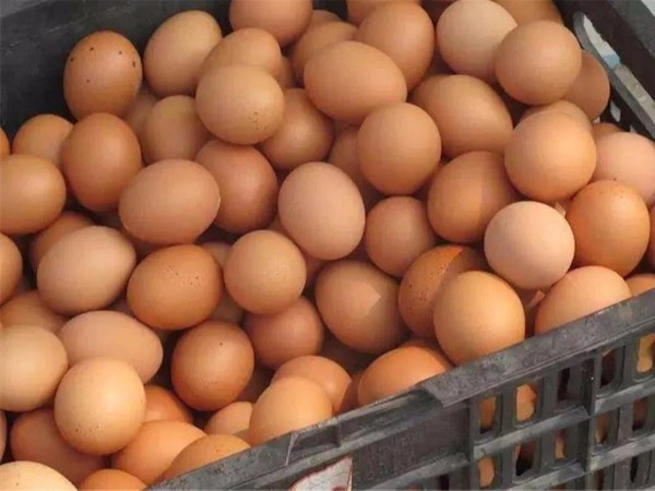 �������Ӽ�