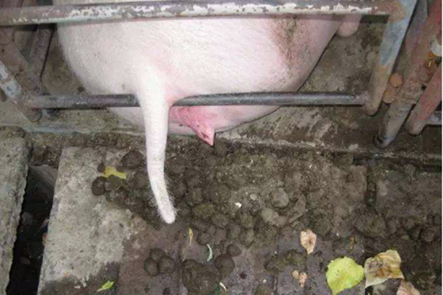 ĸ�����ص�����