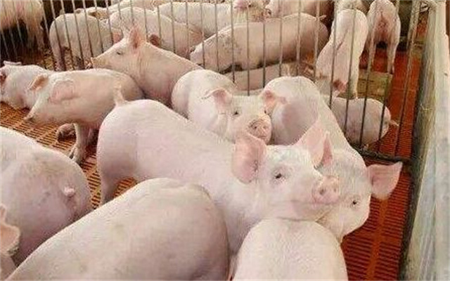 ��������-����ʡ��