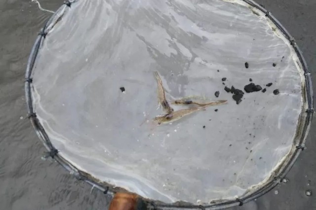 ��Ϻ������ʲôԭ��