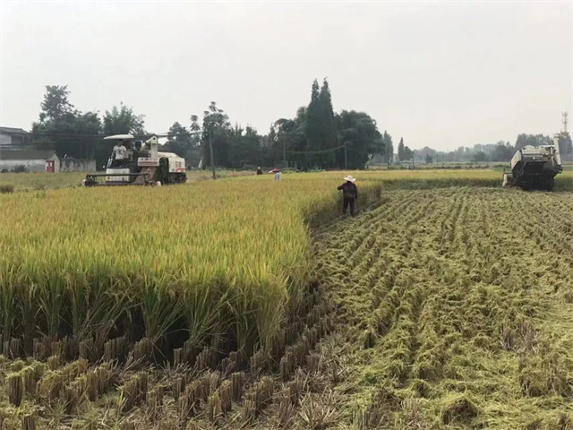 ��-������ѭ����ģʽ