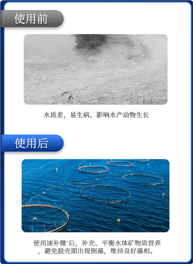 bbin��ӯ�л�΢��Ԫ���ٲ�΢+��Ϻ����Ч��