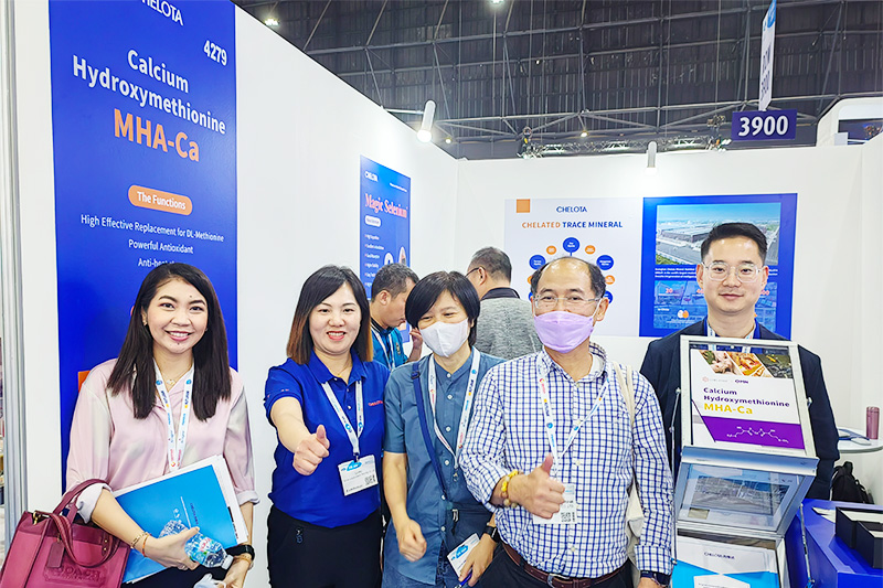 bbin��ӯ��չVIV-ASIA