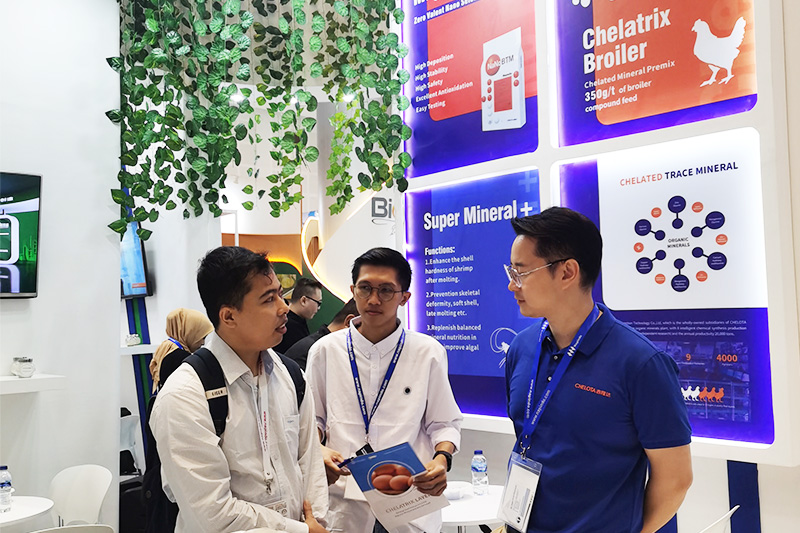 bbin��ӯ��չӡ���������չ