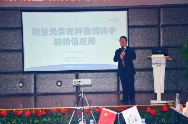 ����������ҵ�ι��л�΢��Ԫ�س���bbin��ӯ