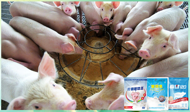 bbin��ӯ�����������Ӽ�