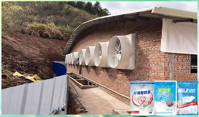 bbin��ӯ�����������Ӽ�