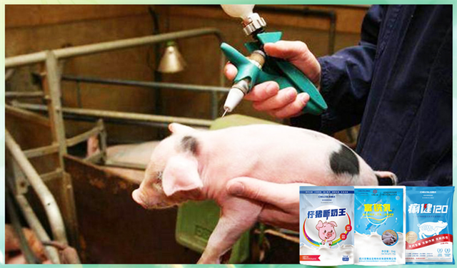 bbin��ӯ�����������Ӽ�