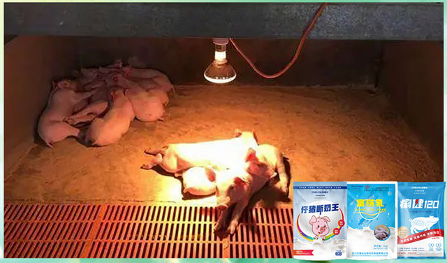 bbin��ӯ�����������Ӽ�