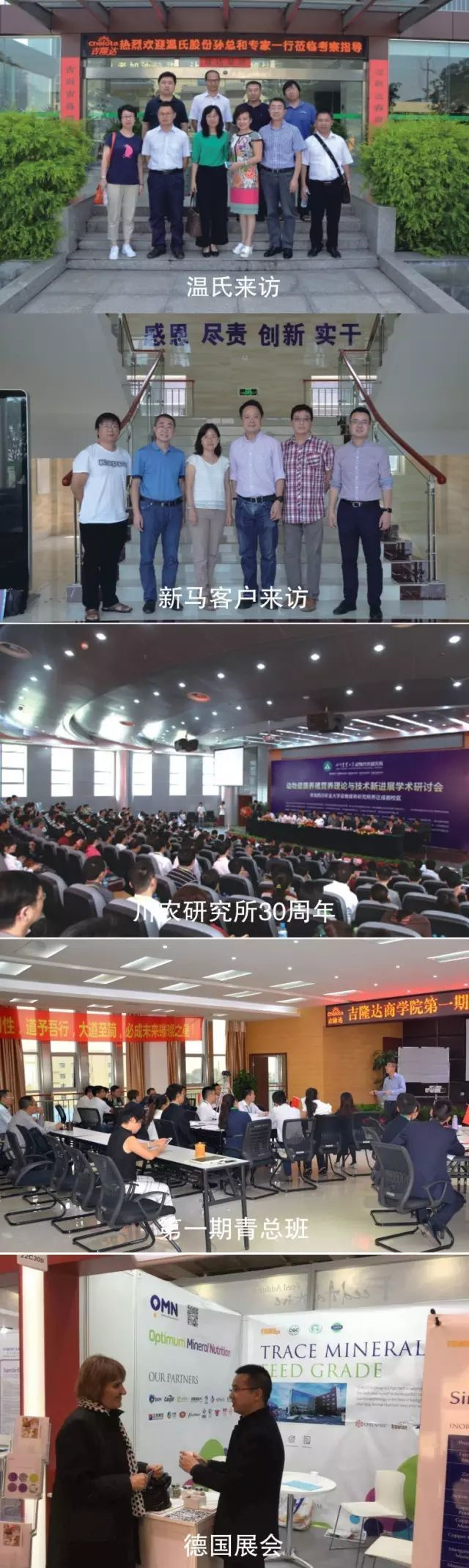 �л�΢������bbin��ӯ2016���¼�