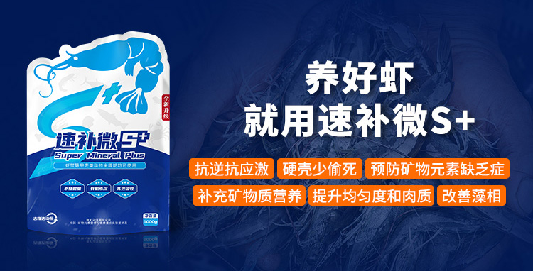 ����Ϻ�������ٲ�΢s+