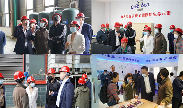 ͨ���ɷݴ����ι�bbin��ӯ�л�΢��Ԫ�ع���