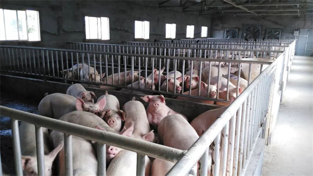 �й������г���ȴ��ܽ�