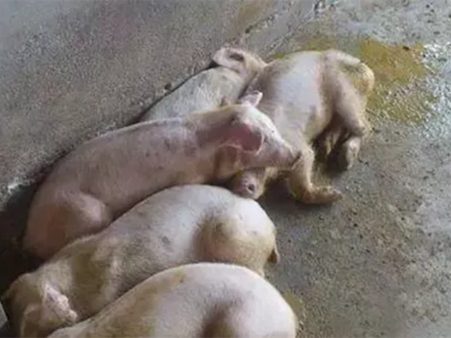 ������������2022�궬����������������к֢״�������������������ղأ�