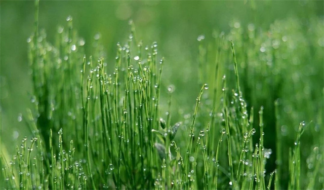 ������ҵ�˴����