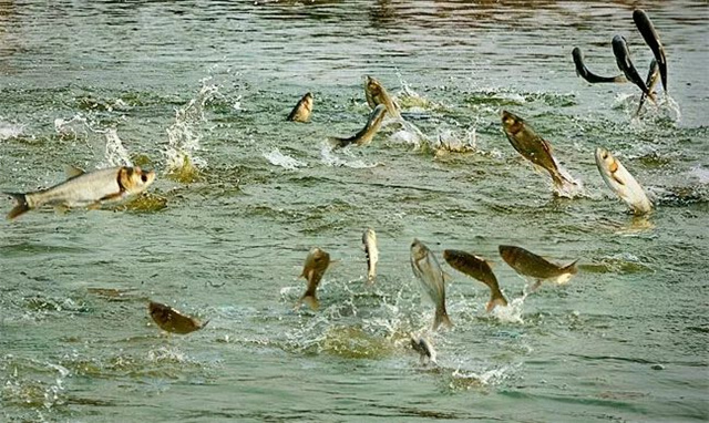 ������ҵ�˴����