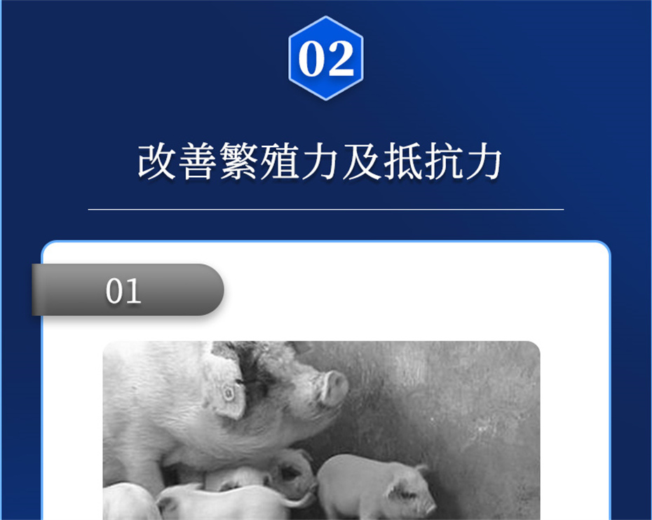 bbin��ӯ�������������Ӽ���ֳ����Ʒ����