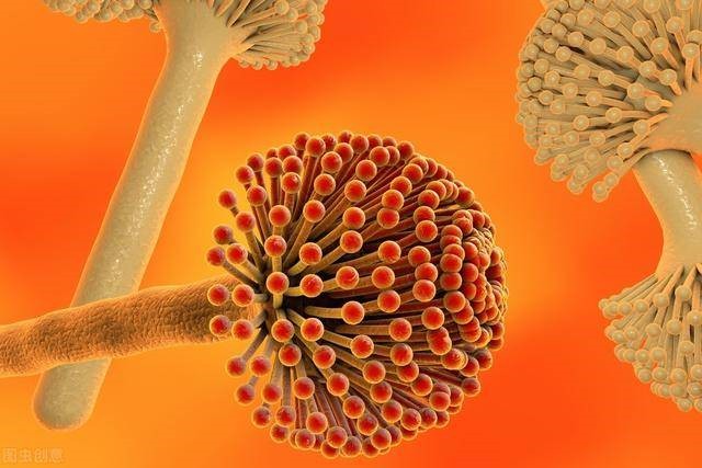 ù�����ط��ش�ʩ