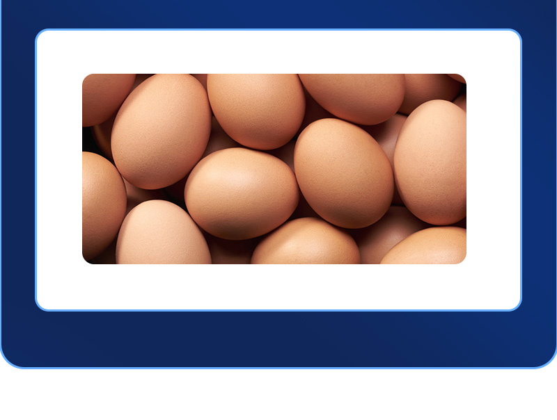 ǿ����ʦ��������ҳ_06